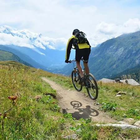 Grand Roc - Campanules 213 - Happy * Chamonix